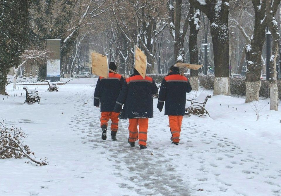 Как управляющие компании должны следить за чистотой во дворах зимой