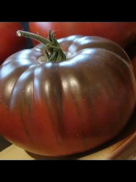 ����� ���������� ���: ��� ��������� ������������ ���� � ����� ������