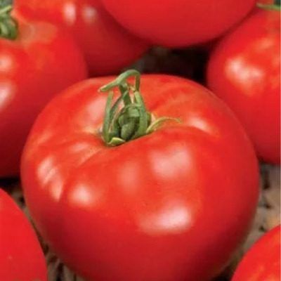 ����� ����: ������������� ���� � �������� � ������