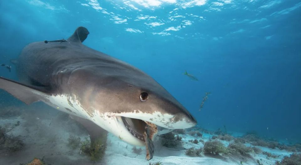 10 �� �� �����: ��� �������������� ����� ������� ������ �� ���� � ��� ����� �������