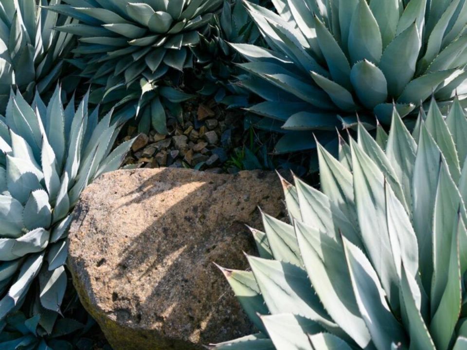 �����: ���������� �������� � ������������ ������