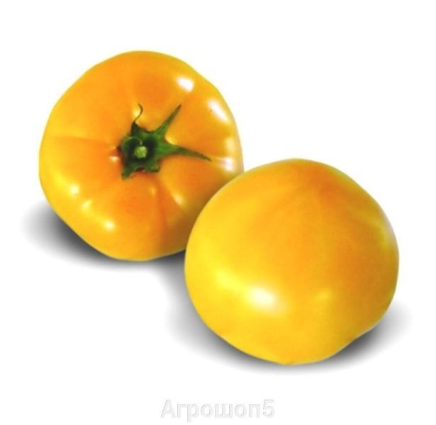 Томат КС 10: спокойное объяснение выбора и ухода для раннего крупного урожая