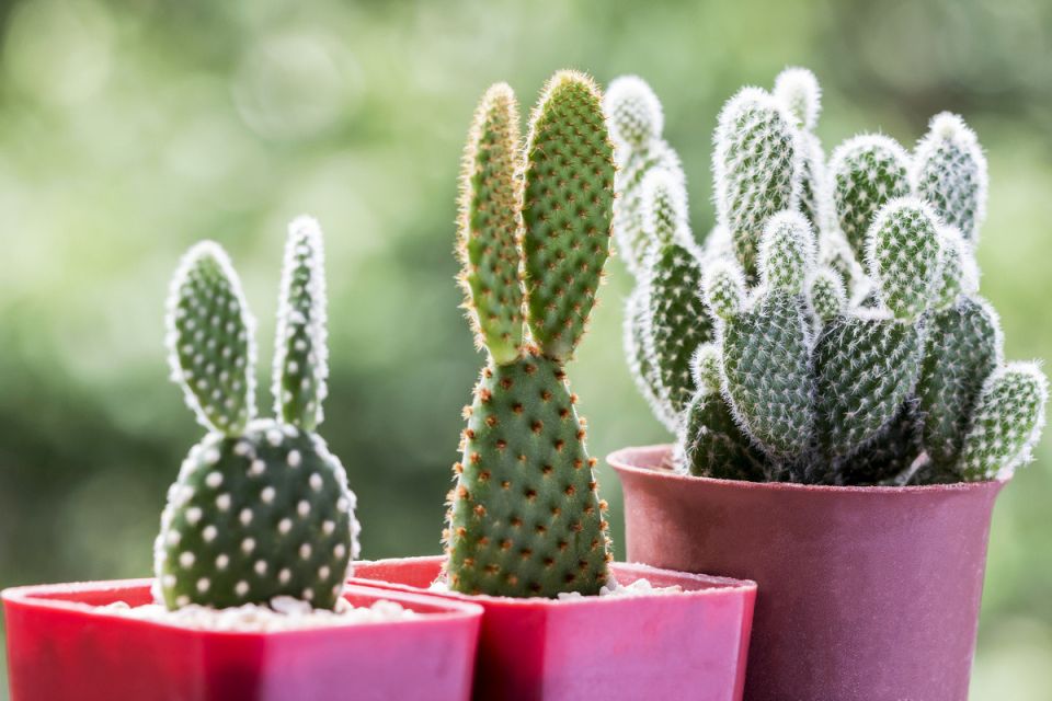 ������� � ����: ������ � ���������� � ������� ������