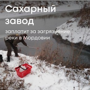 -          1,3      