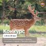 Проведите выходные на турбазе Лесная слобода