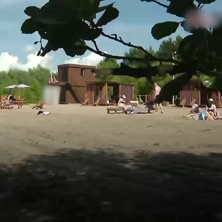  :    ,    