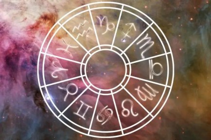   ,    :   2  2025 