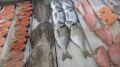 ФАС запускает расследование из-за резкого роста цен на рыбу