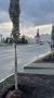 А вот и новая аллея городов Поволжья в самом центре Саранска