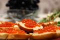 Как отличить настоящую икру от подделки: помочь может кошка