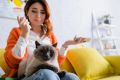 Как коты распознают нашу грусть: новое исследование ветеринаров