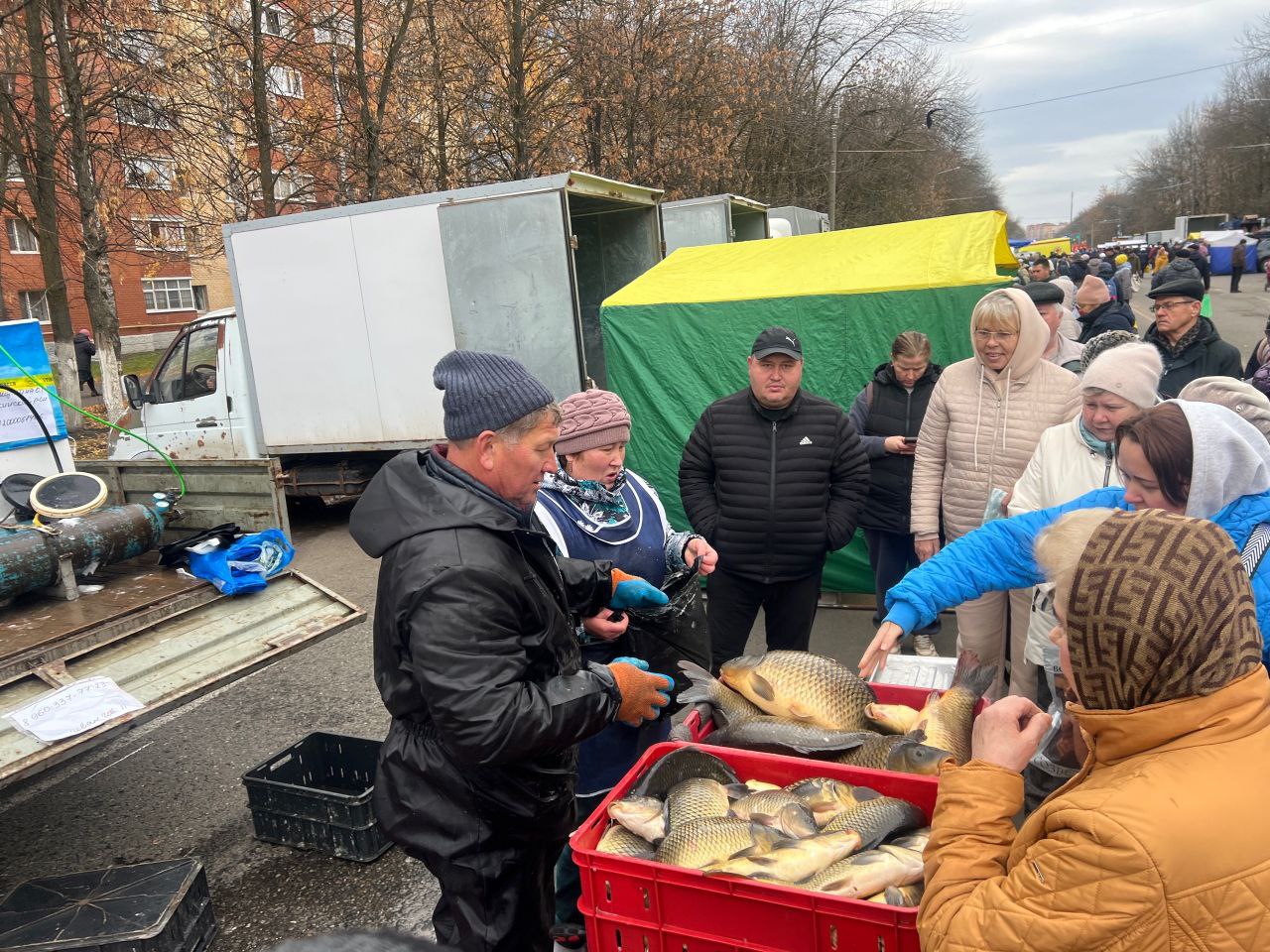 В Саранске - ярмарка! Свежайшие продукты, хорошее настроение, приятные цены В Саранске - ярмарка! Свежайшие продукты, хорошее настроение, приятные цены