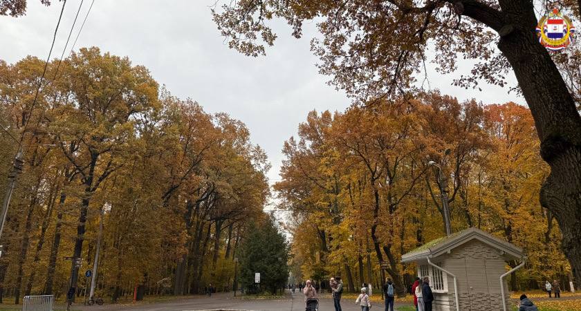 Новый сквер украсил Ардатов