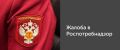 Как правильно написать жалобу в Роспотребнадзор: полезные советы