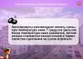 Настает поздняя осень. Время опавшей листвы, частых дождей и первых заморозков