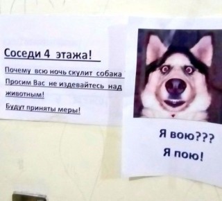 Как справиться с донимающим лаем соседской собаки: эффективные шаги