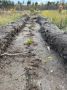 Мордовия прирастает новыми лесами