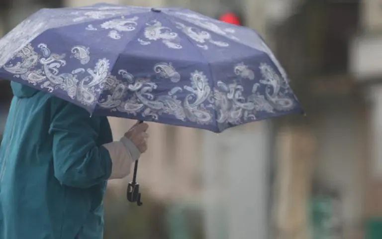 Дождик с самого утра. Так и предупреждали синоптики: 28 октября в Мордовии будут идти интенсивные дожди