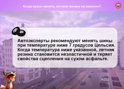 Настает поздняя осень. Время опавшей листвы, частых дождей и первых заморозков