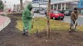 В Саранске продолжается комплексное благоустройство Соборной площади и бульвара по улице Большевистская