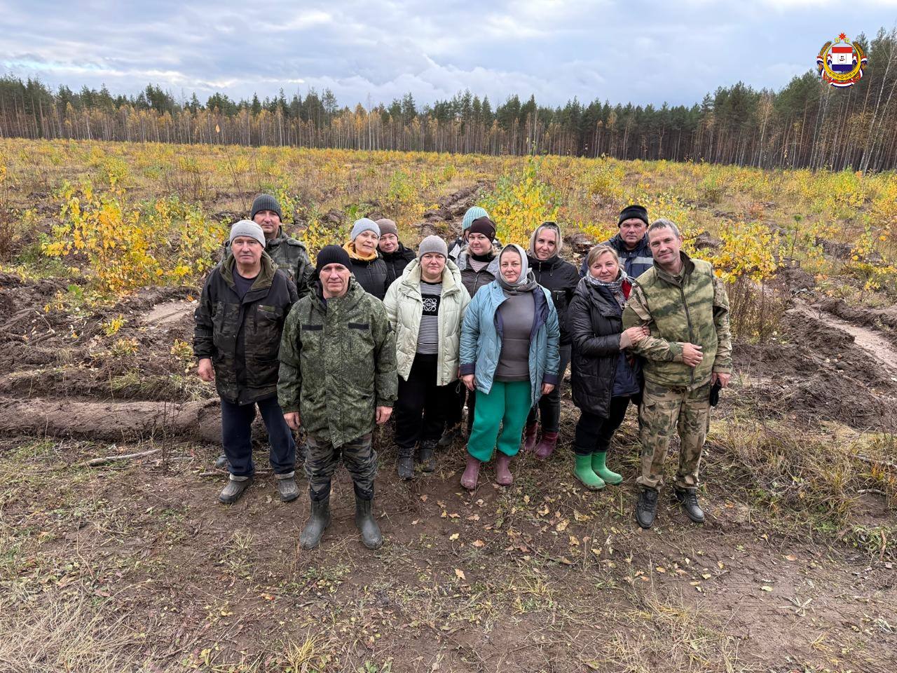 Мордовия прирастает новыми лесами Мордовия прирастает новыми лесами
