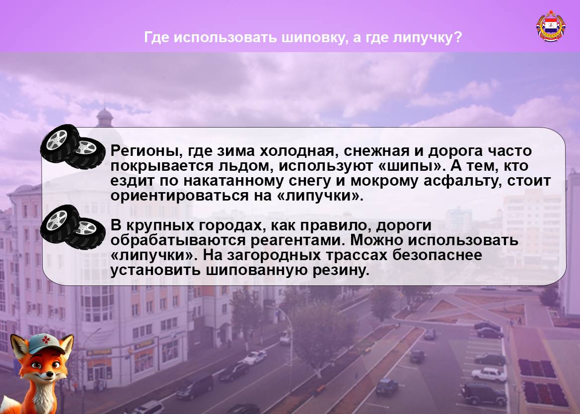 Настает поздняя осень. Время опавшей листвы, частых дождей и первых заморозков Настает поздняя осень. Время опавшей листвы, частых дождей и первых заморозков
