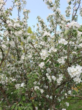 Как сохранить мечты и радость жизни после 60: что важно для душевного комфорта