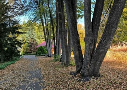     ...   .  ,          ,    