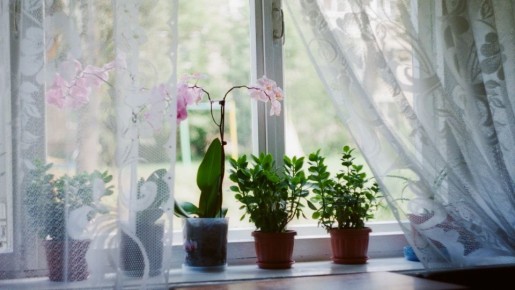 Пожелтевший тюль станет белее снега без дорогого отбеливателя: стирайте по этой простой схеме