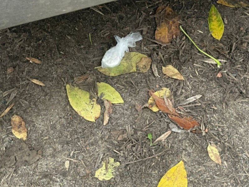 В Саранске супруги обвиняются в незаконном хранении наркотиков