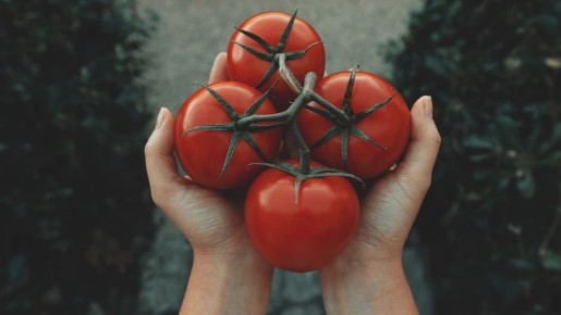 На страну производителя не смотрите: только такие помидоры будут сочными и сладкими