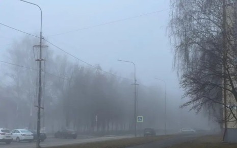 Как вам погодка в эту рабочую субботу? Сегодня, 1 ноября, влияние на погоду в Мордовии будет оказывать циклон, да не простой, а "ныряющий"