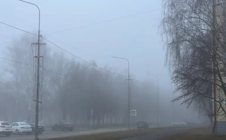 Как вам погодка в эту рабочую субботу? Сегодня, 1 ноября, влияние на погоду в Мордовии будет оказывать циклон, да не простой, а "ныряющий"