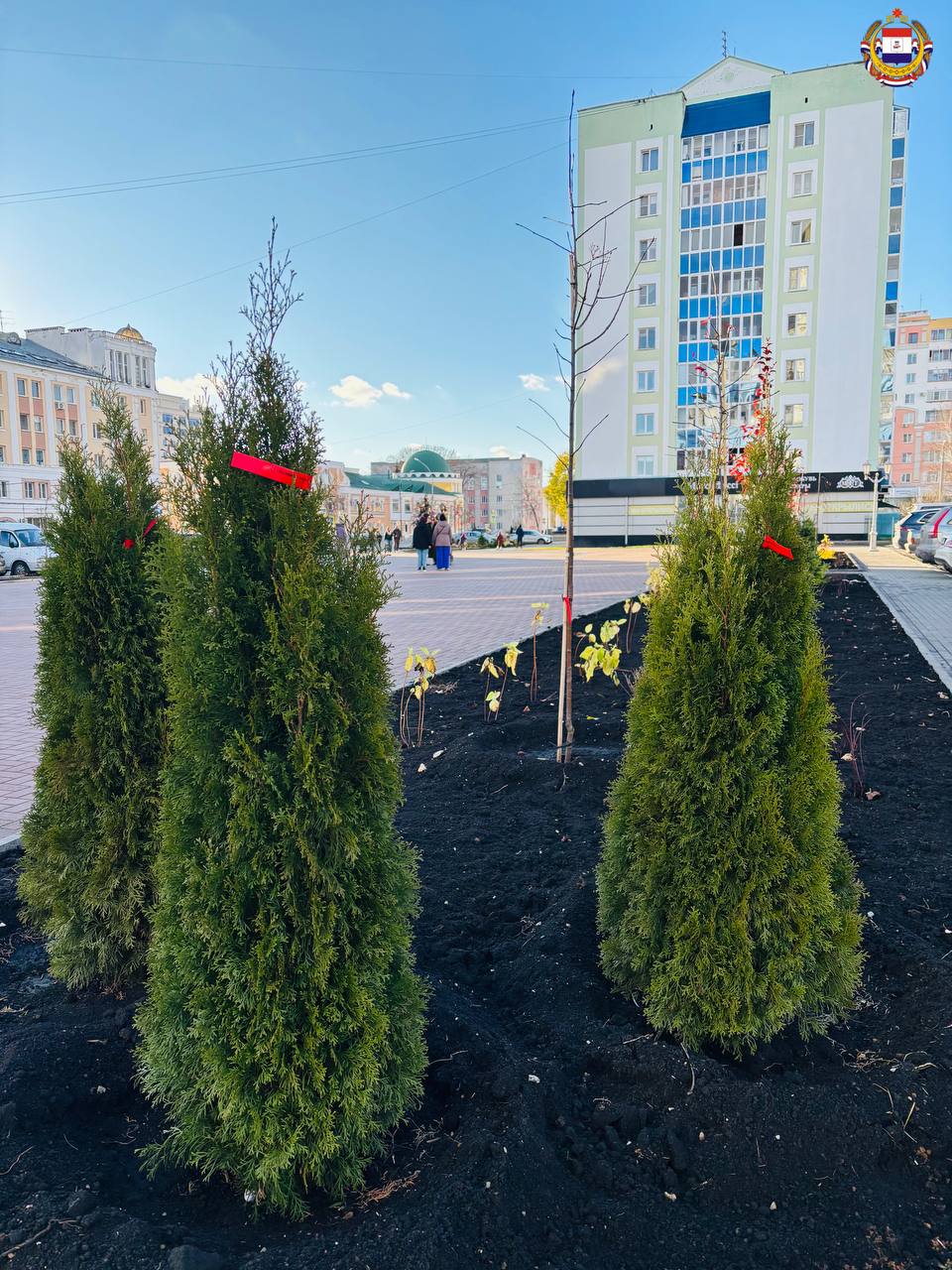 А вы уже видели, какие зелёные насаждения появились в центре нашей столицы? А вы уже видели, какие зелёные насаждения появились в центре нашей столицы?