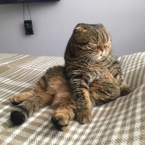 &quot;, !   ! , ,   !   !&quot;