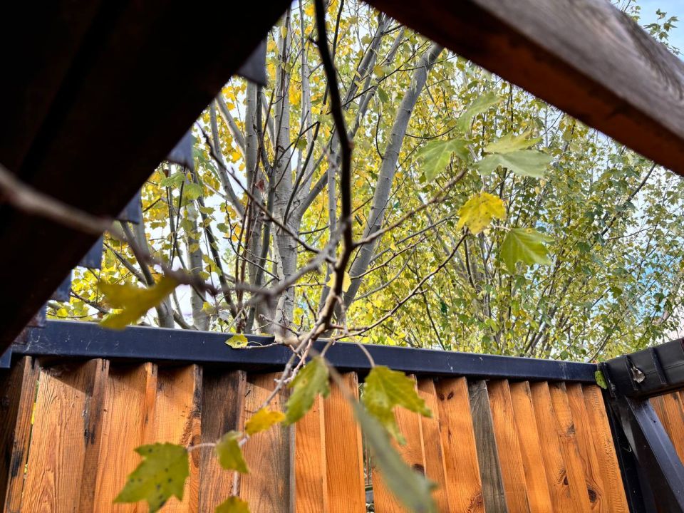 По информации ЕДДС и данным Мордовского центра по гидрометеорологии и мониторингу окружающей среды По информации ЕДДС и данным Мордовского центра по гидрометеорологии и мониторингу окружающей среды