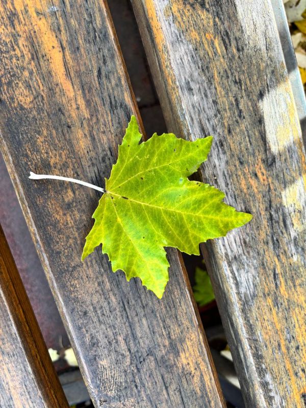 По информации ЕДДС и данным Мордовского центра по гидрометеорологии и мониторингу окружающей среды По информации ЕДДС и данным Мордовского центра по гидрометеорологии и мониторингу окружающей среды