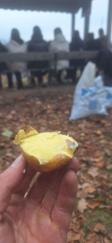    !    : , , ,            !