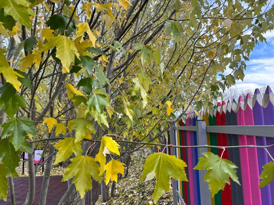 По информации ЕДДС и данным Мордовского центра по гидрометеорологии и мониторингу окружающей среды