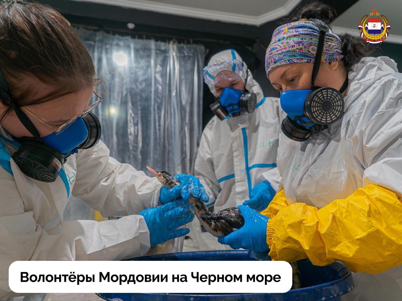 День, который напоминает, что мы вместе День, который напоминает, что мы вместе