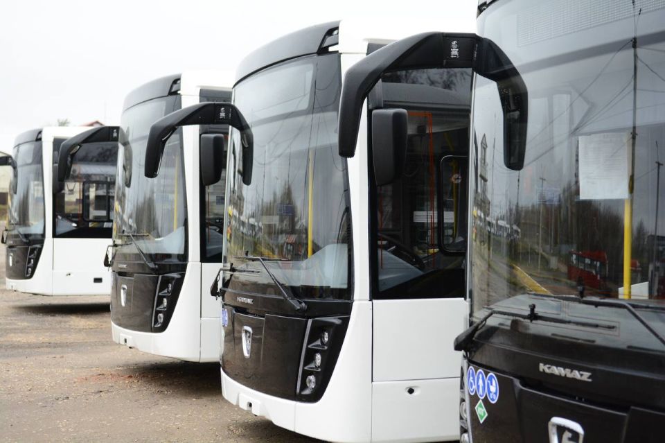 Горожане, радостная новость