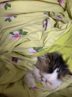 Ну, вот и завершились большие ноябрьские выходные