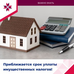 Приближается крайний срок уплаты имущественных налогов!