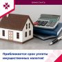 Приближается крайний срок уплаты имущественных налогов!