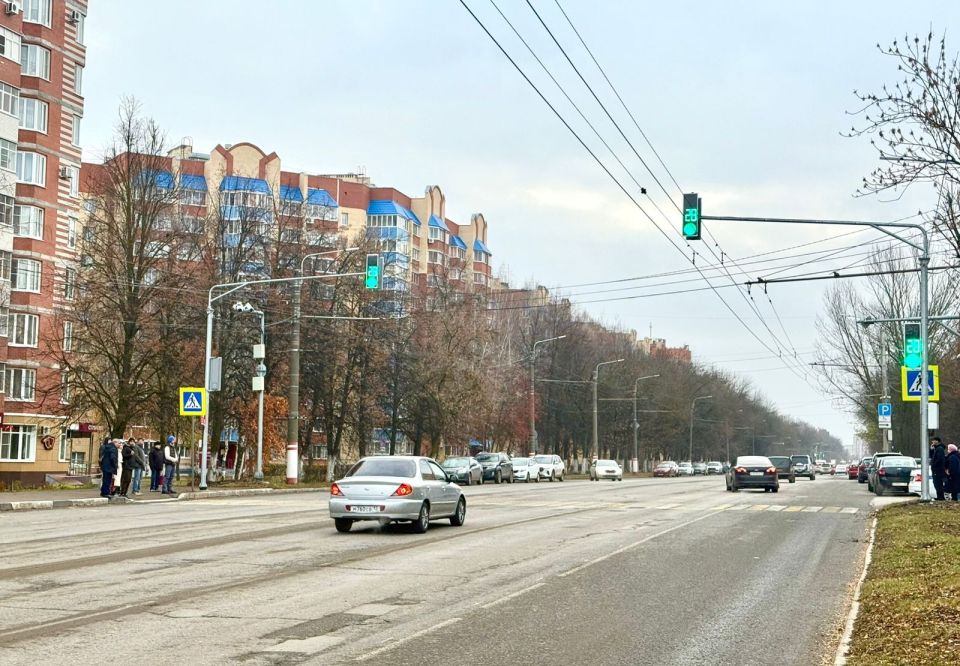 В Саранске на улице Ульянова установили светофор по просьбам жителей