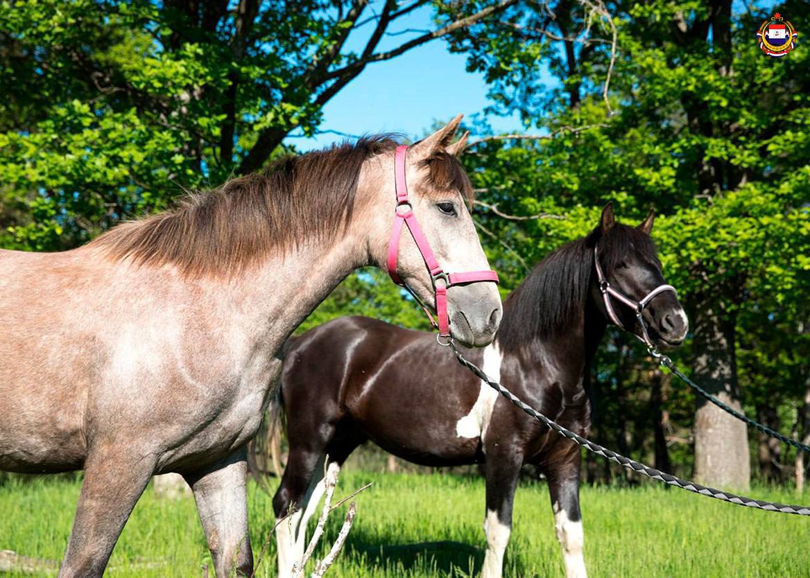 Кочкуровский район открыт для туристов Кочкуровский район открыт для туристов