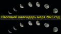 Садовые хлопоты в марте: советы для огородников