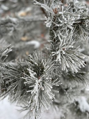 Пока тепло, но уже готовимся к морозцам