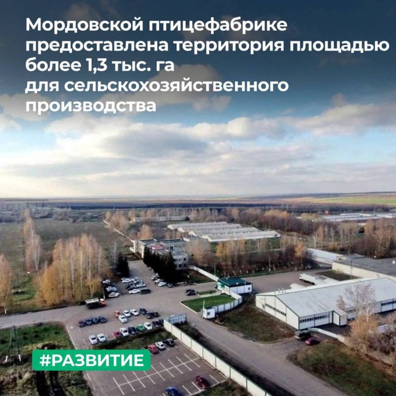 МТУ Росимущества в Республике Мордовия, Республике Марий Эл, Чувашской Республике и Пензенской области предоставило АО «Птицефабрика «Атемарская» в аренду земельный участок в Лямбирском районе Республики Мордовия