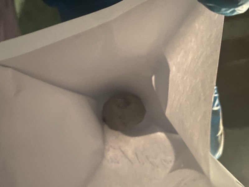 Ранее неоднократно судимый житель Саранск заключен под стражу по подозрению в незаконном хранении наркотиков Ранее неоднократно судимый житель Саранск заключен под стражу по подозрению в незаконном хранении наркотиков